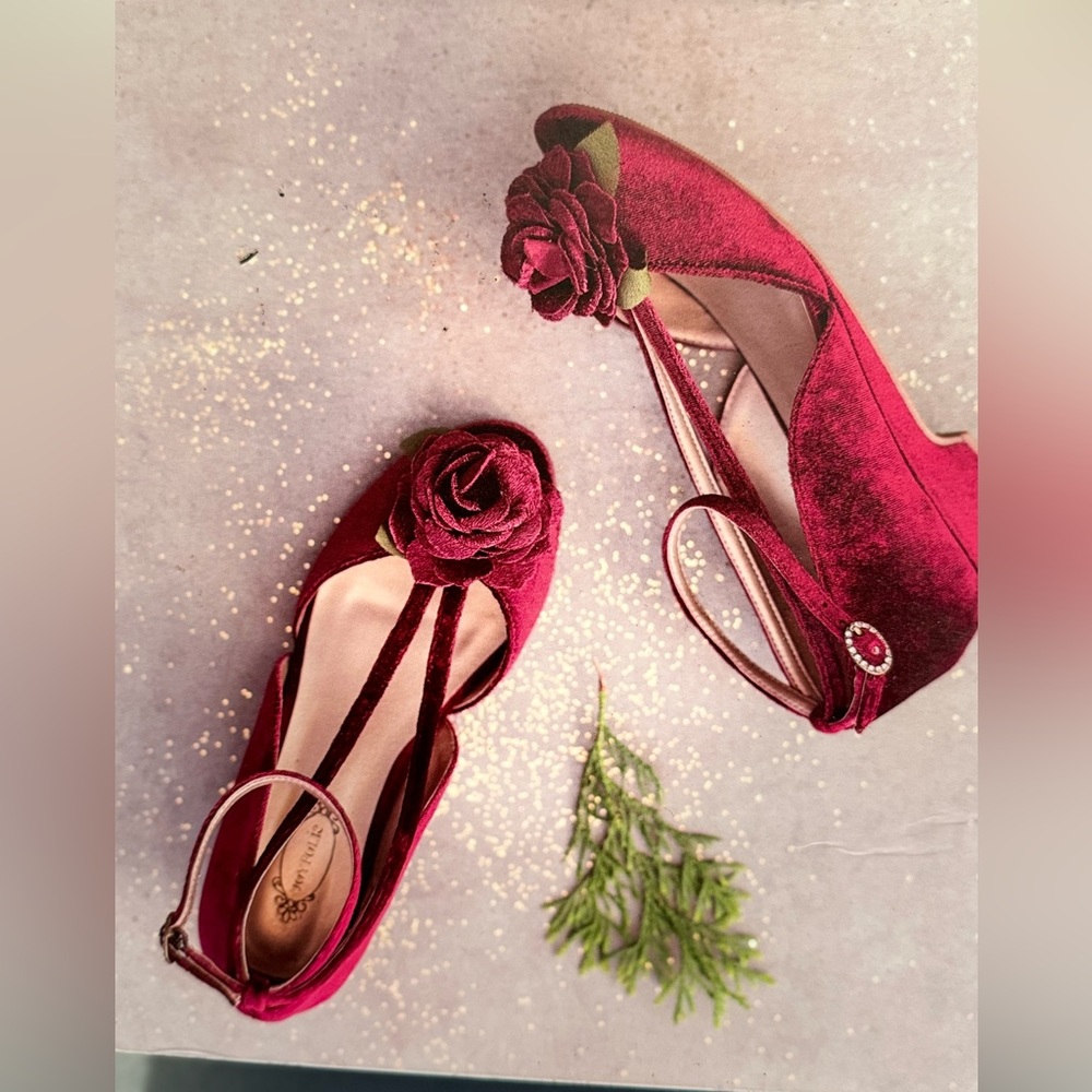 Arabella Heels in Cranberry T10 with box